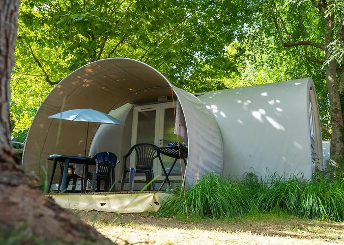 Campingplads Camping Le Paradis Talmont-Saint-Hilaire